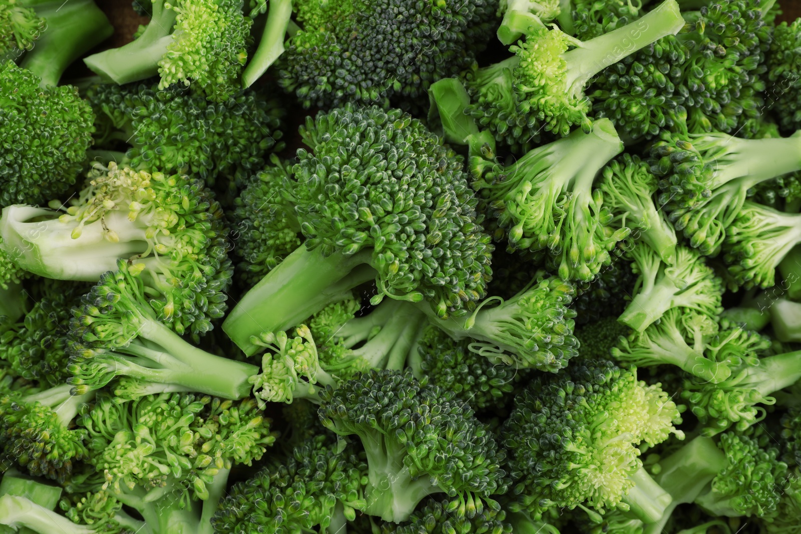 Photo of Fresh raw broccoli as background, top view