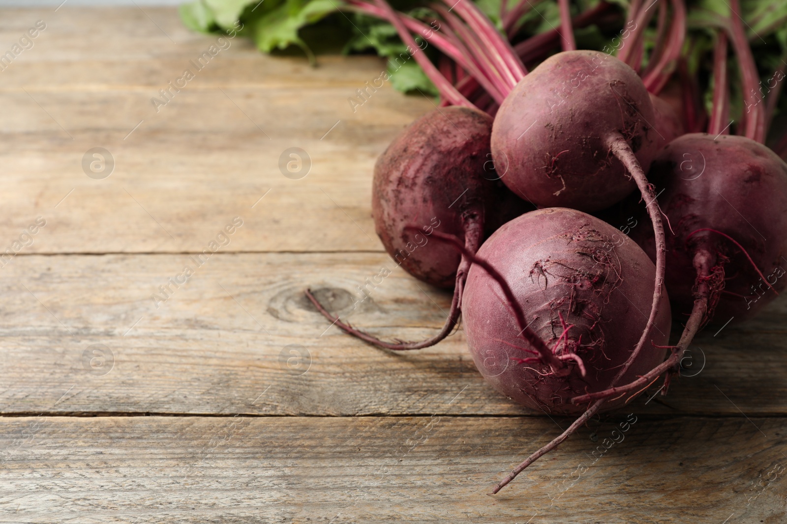 Photo of Raw ripe beets on wooden table. Space for text