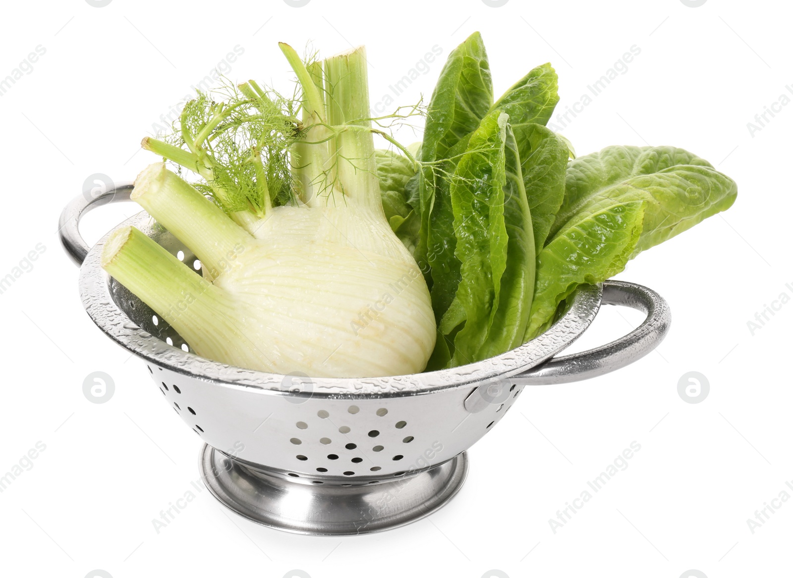 Photo of Metal colander with fennel and lettuce isolated on white