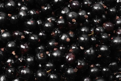 Many ripe blackcurrants as background, closeup view