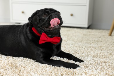 Cute Pug dog with red bow tie on neck in room, space for text