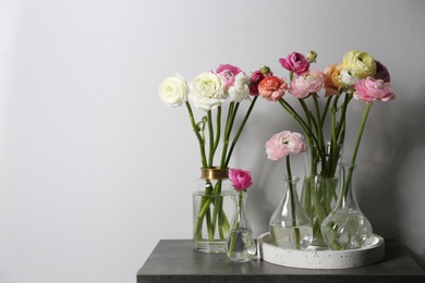 Beautiful ranunculus flowers in vases on stone table near wall, space for text