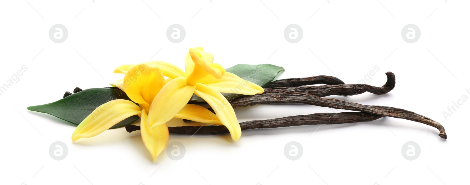 Photo of Aromatic vanilla sticks and flowers on white background