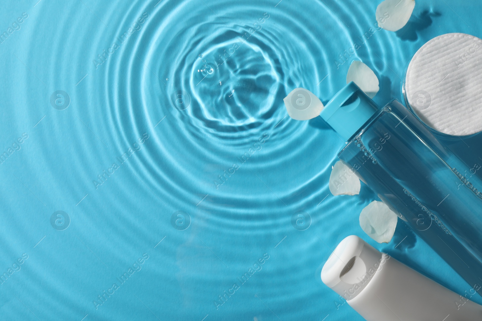 Photo of Bottle of micellar water, petals, tube and cotton pad in liquid on light blue background, flat lay. Space for text