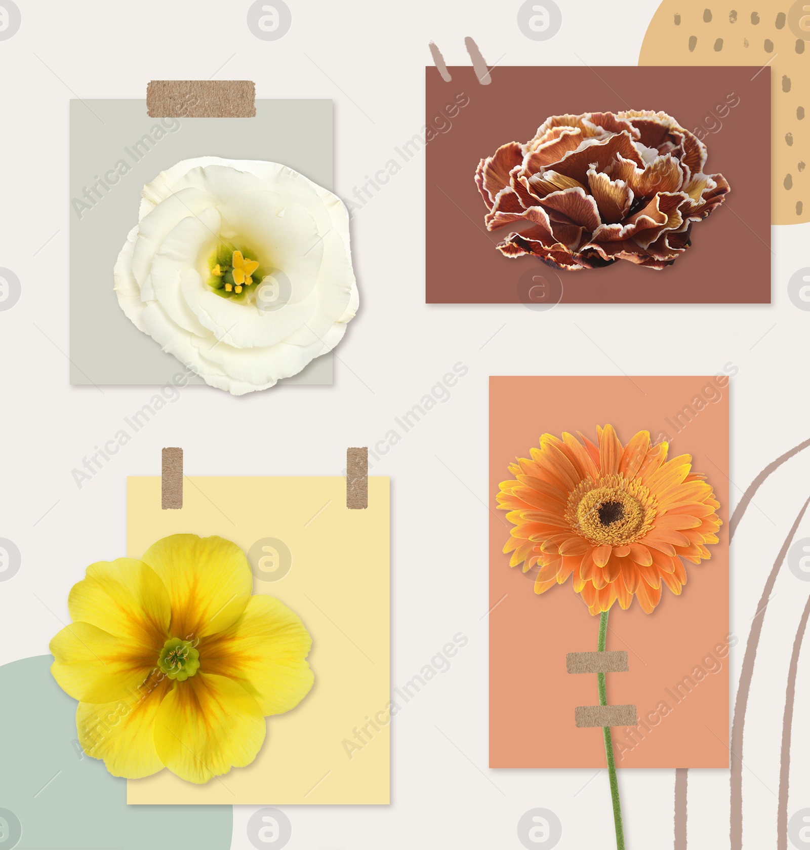 Image of Multicolor flowers and cards of similar shades on light background, collage. Montessori method