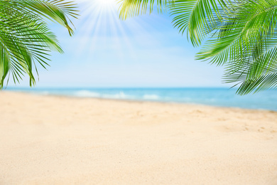Image of Sandy beach with palms near ocean on sunny day