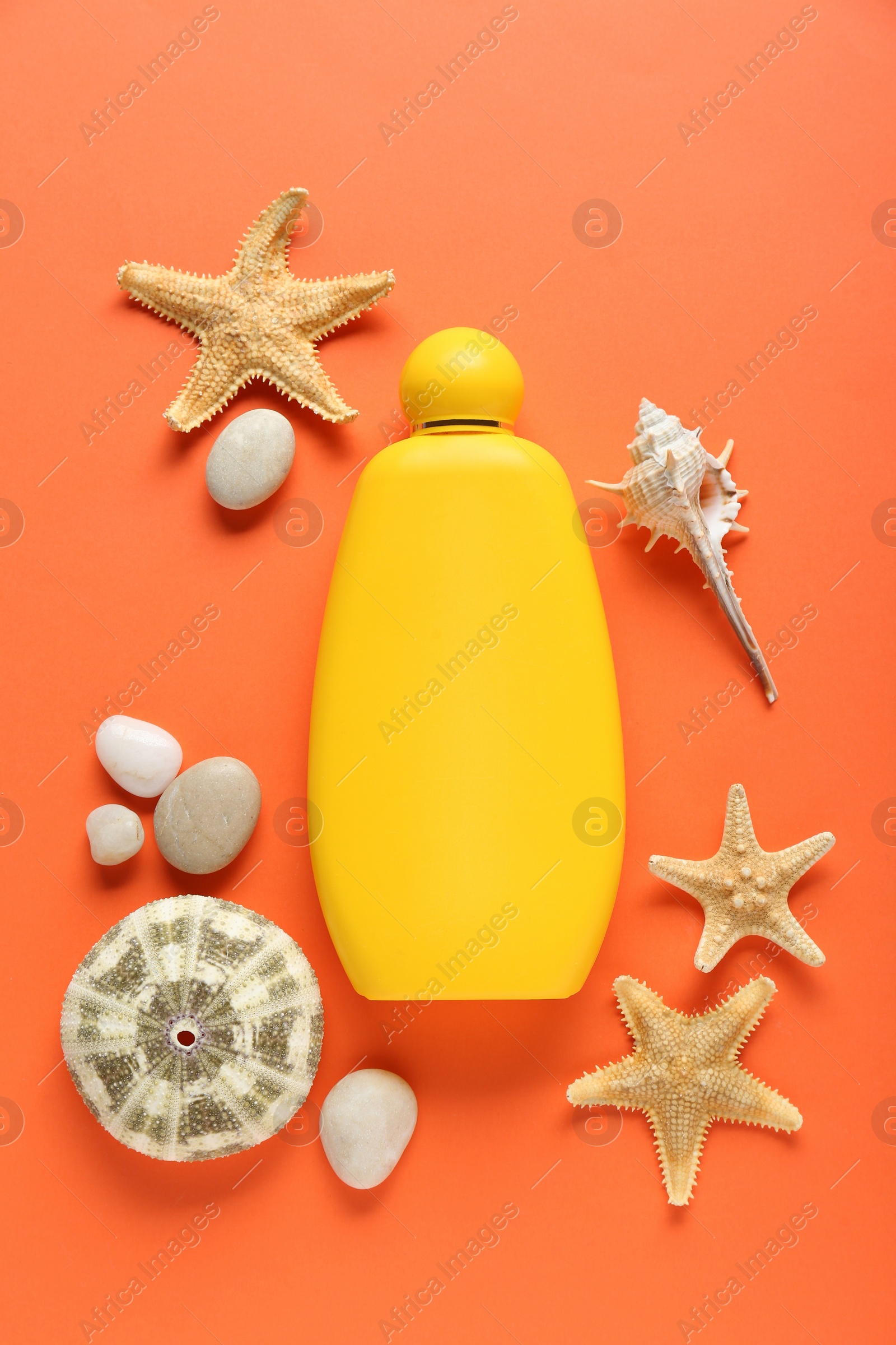 Photo of Bottle of suntan cream and seashells on orange background, flat lay
