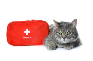 First aid kit and cute cat on white background. Animal care