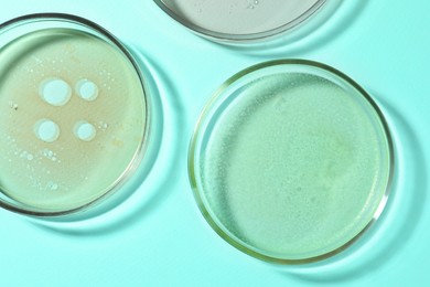 Photo of Petri dishes with liquids on turquoise background, flat lay