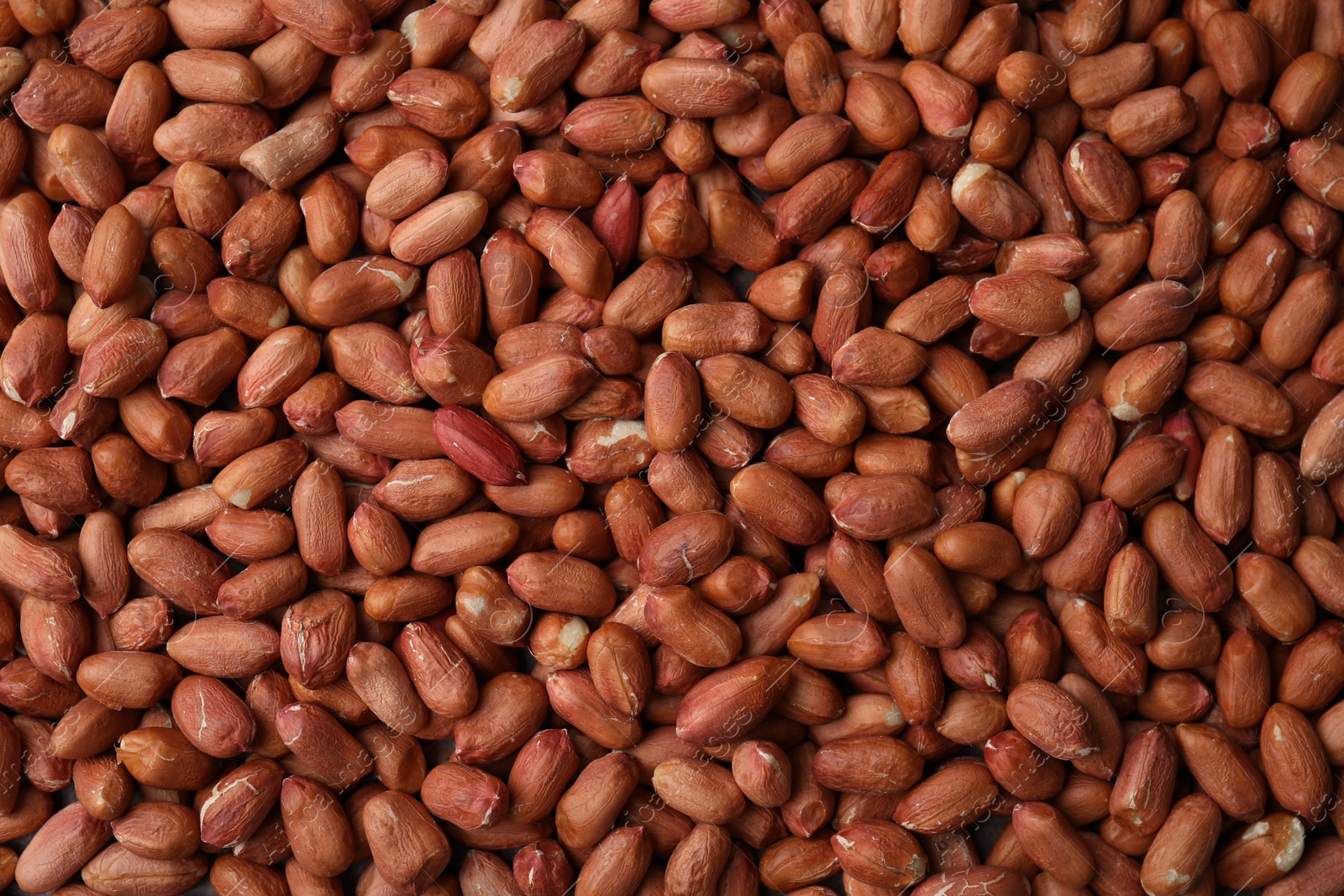 Photo of Many fresh unpeeled peanuts as background, top view