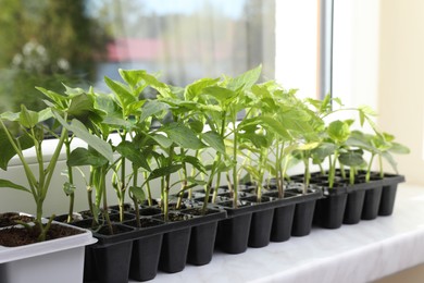 Photo of Seedlings growing in plastic containers with soil on windowsill indoors