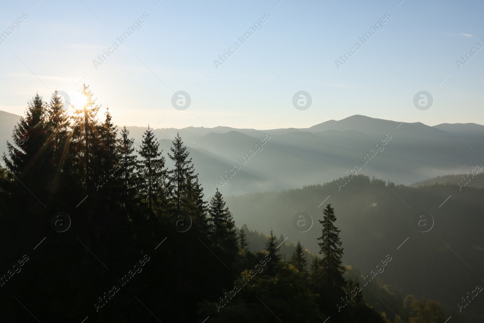 Photo of Picturesque view of mountain forest covered with fog