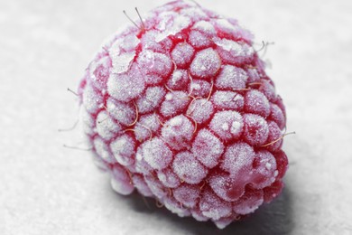 One frozen raspberry on light table, closeup
