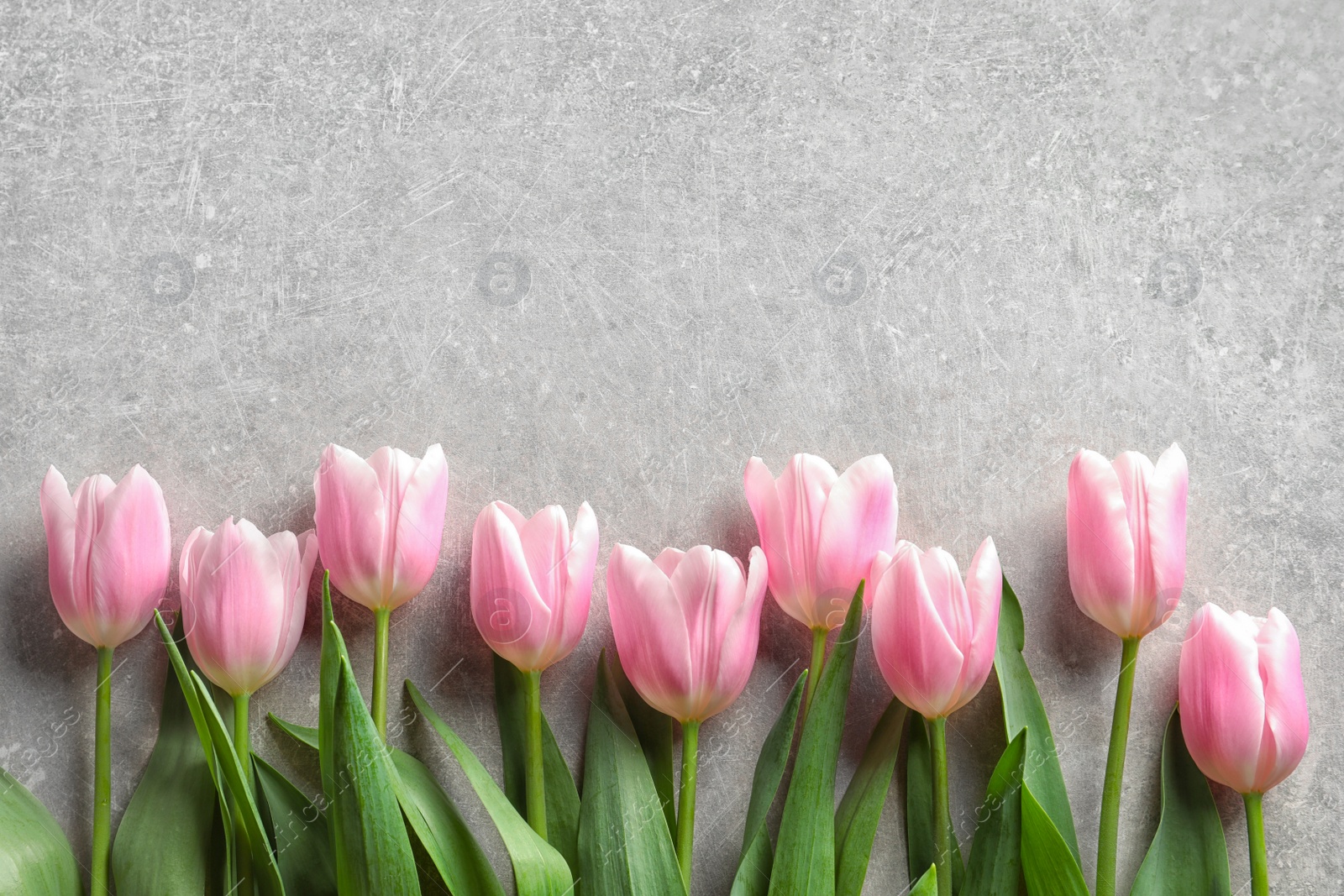 Photo of Beautiful tulips for Mother's Day on grey background, top view