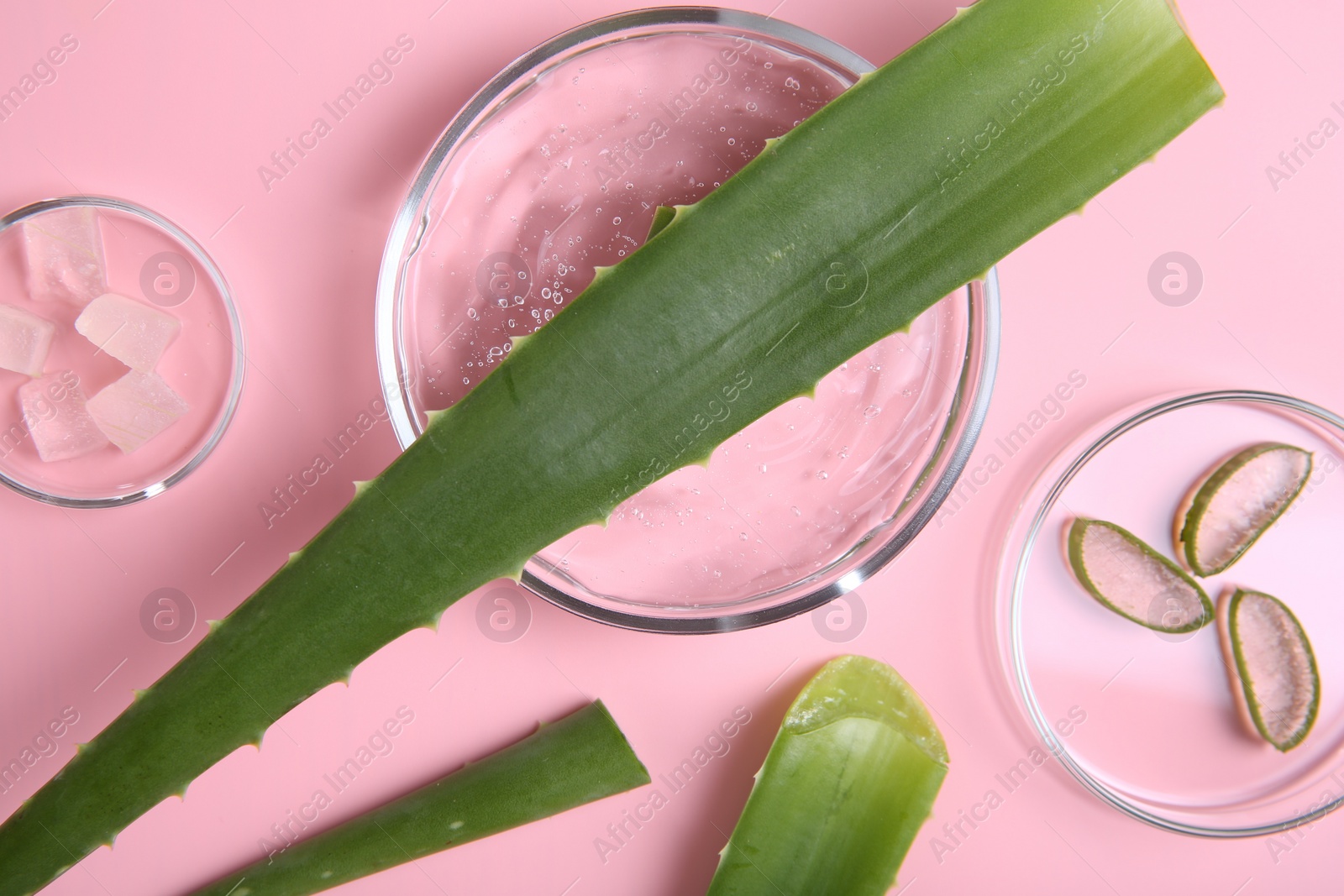 Photo of Flat lay composition with aloe vera leaves and cosmetic gel on pink background