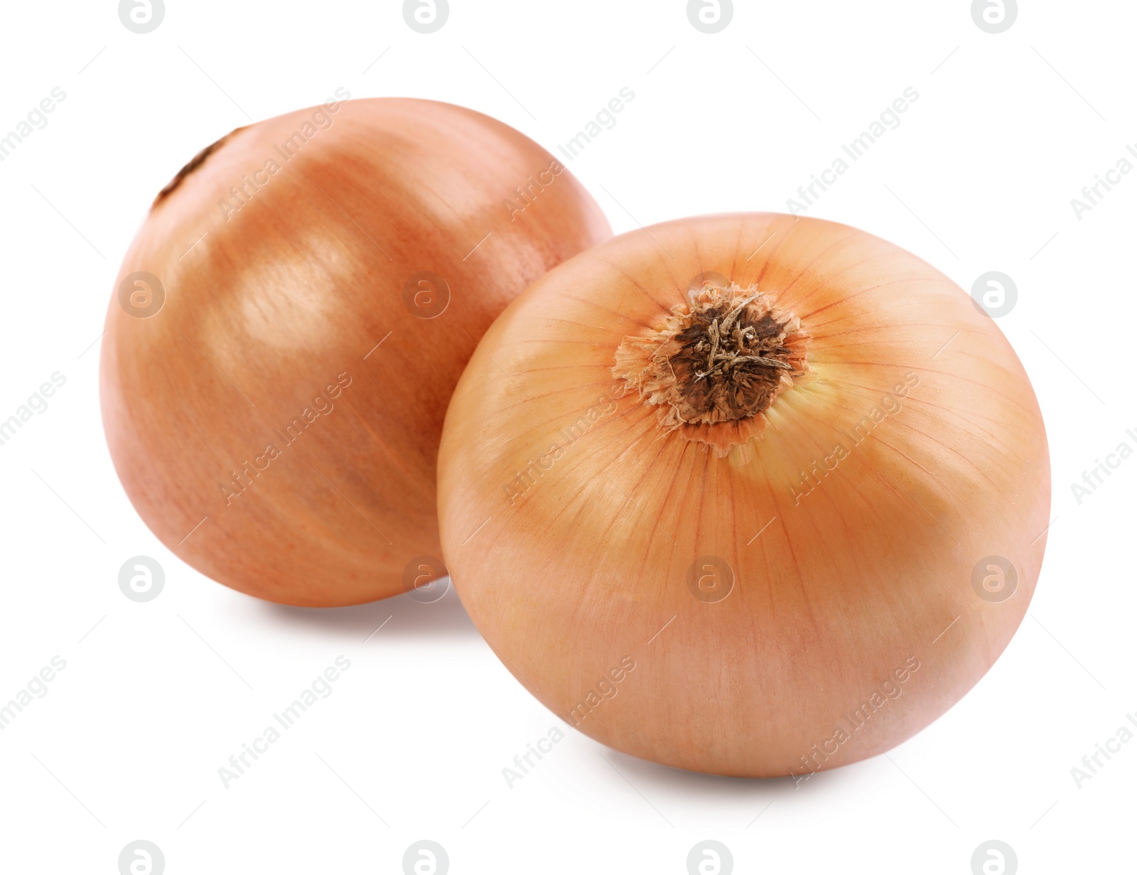 Photo of Two yellow fresh onions isolated on white