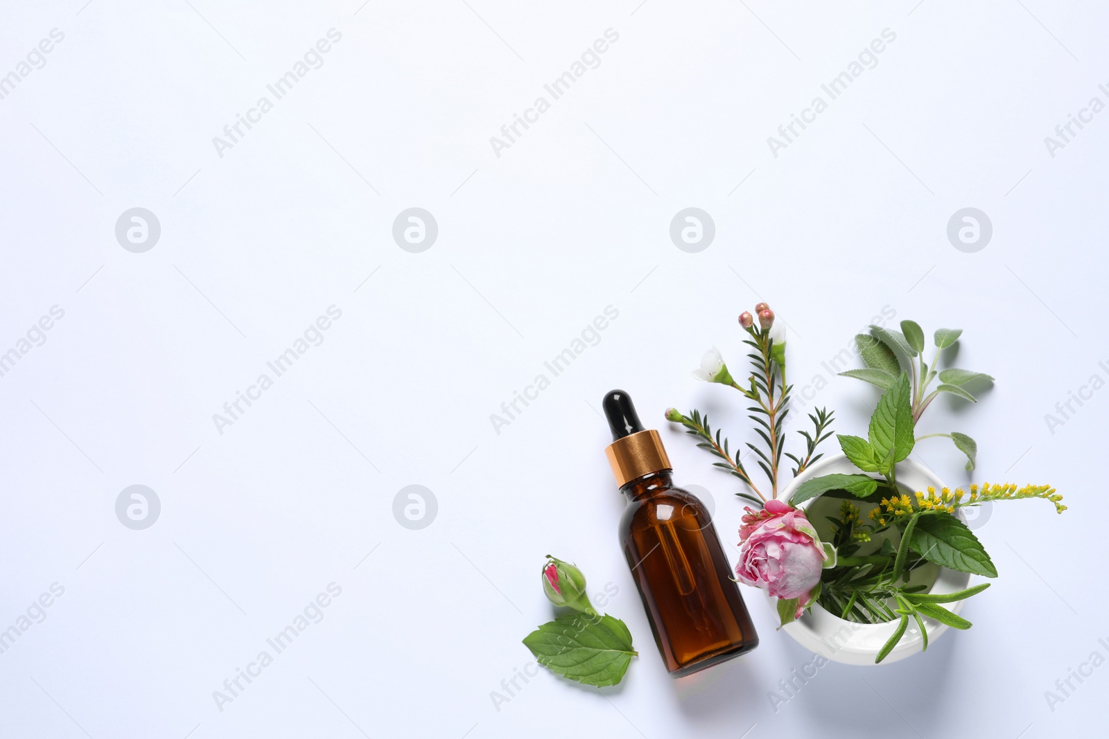 Photo of Bottle of essential oil, different herbs, rose flower and bud on white background, flat lay. Space for text