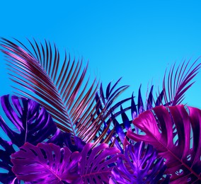 Image of Tropical leaves in neon colors on light blue background