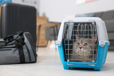 Travel with pet. Cute cat in carrier at home