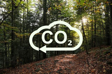 Image of Concept of clear air. CO2 inscription in illustration of cloud with arrow and beautiful forest