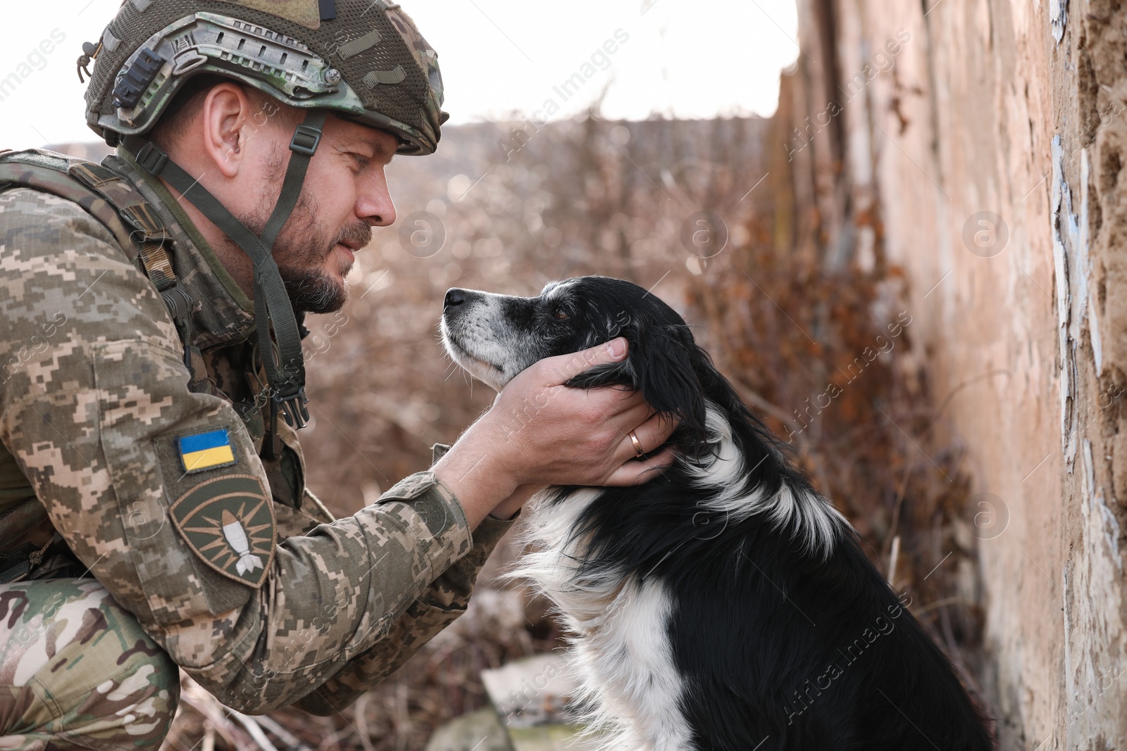 Photo of Ukrainian soldier petting frightened stray dog outdoors