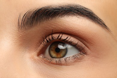 Photo of Beautiful young woman, closeup view. Focus on eye