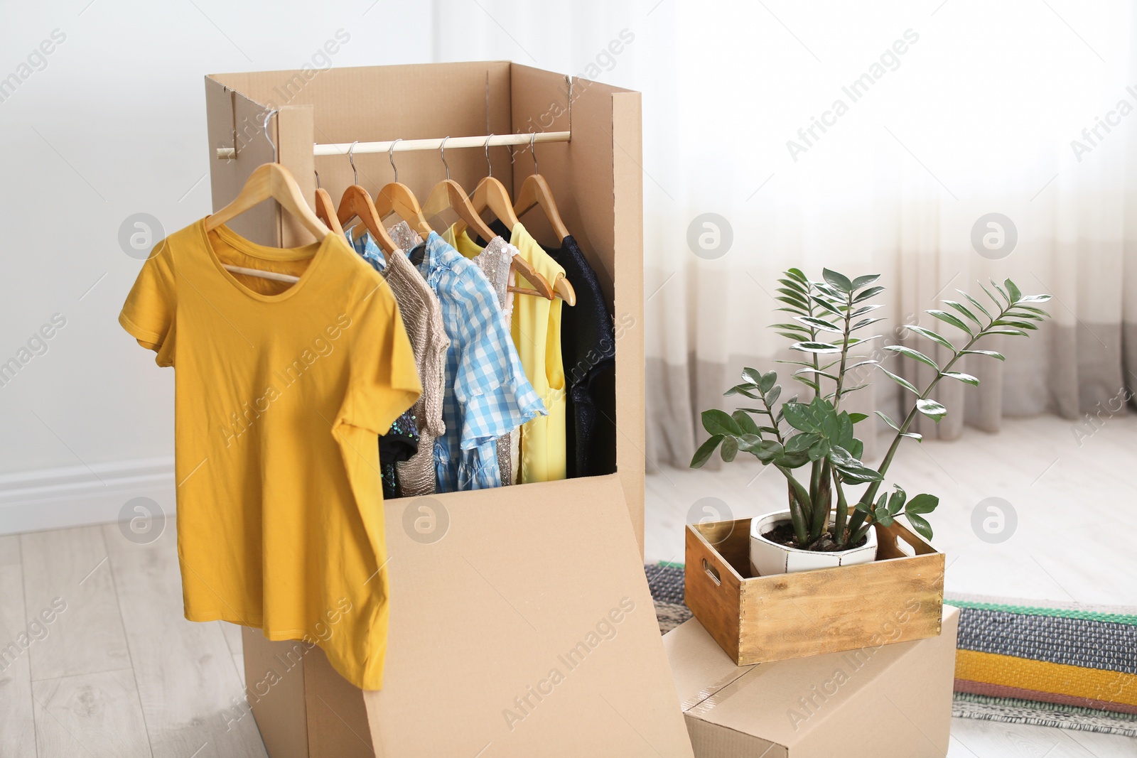 Photo of Cardboard wardrobe box with clothes on hangers, houseplant and carpet indoors. Moving day