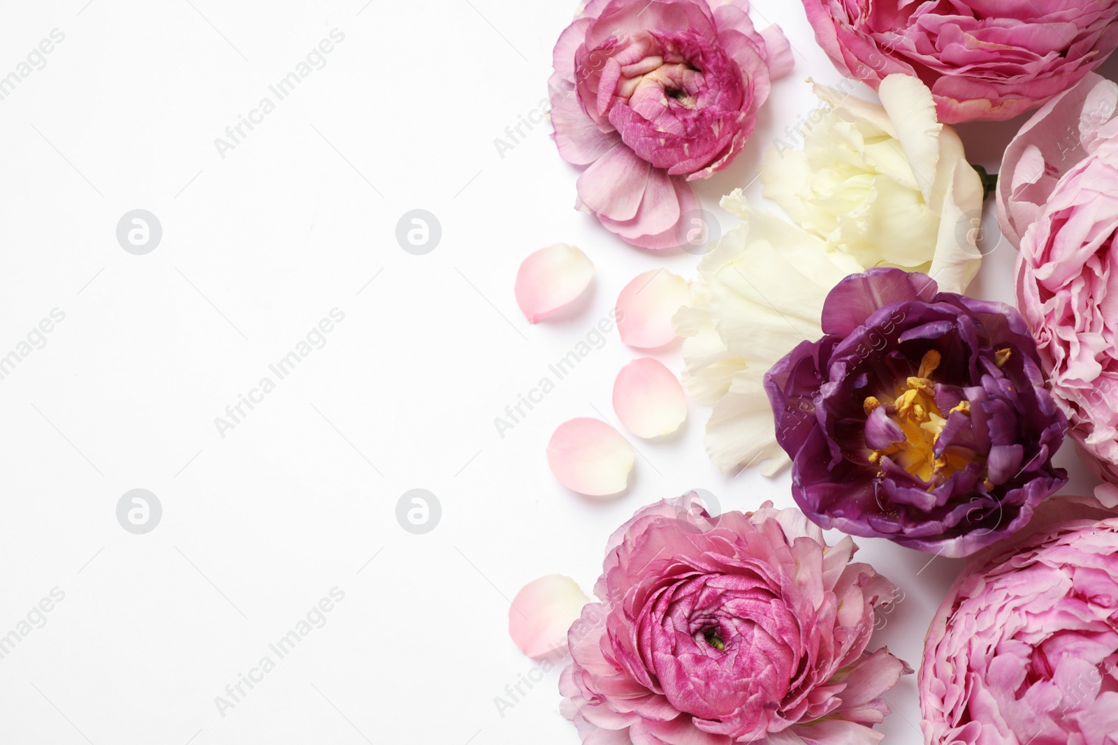 Photo of Composition with beautiful flowers on white background, top view. Floral card design