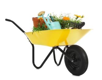 Photo of Wheelbarrow with flowers and gardening tools isolated on white