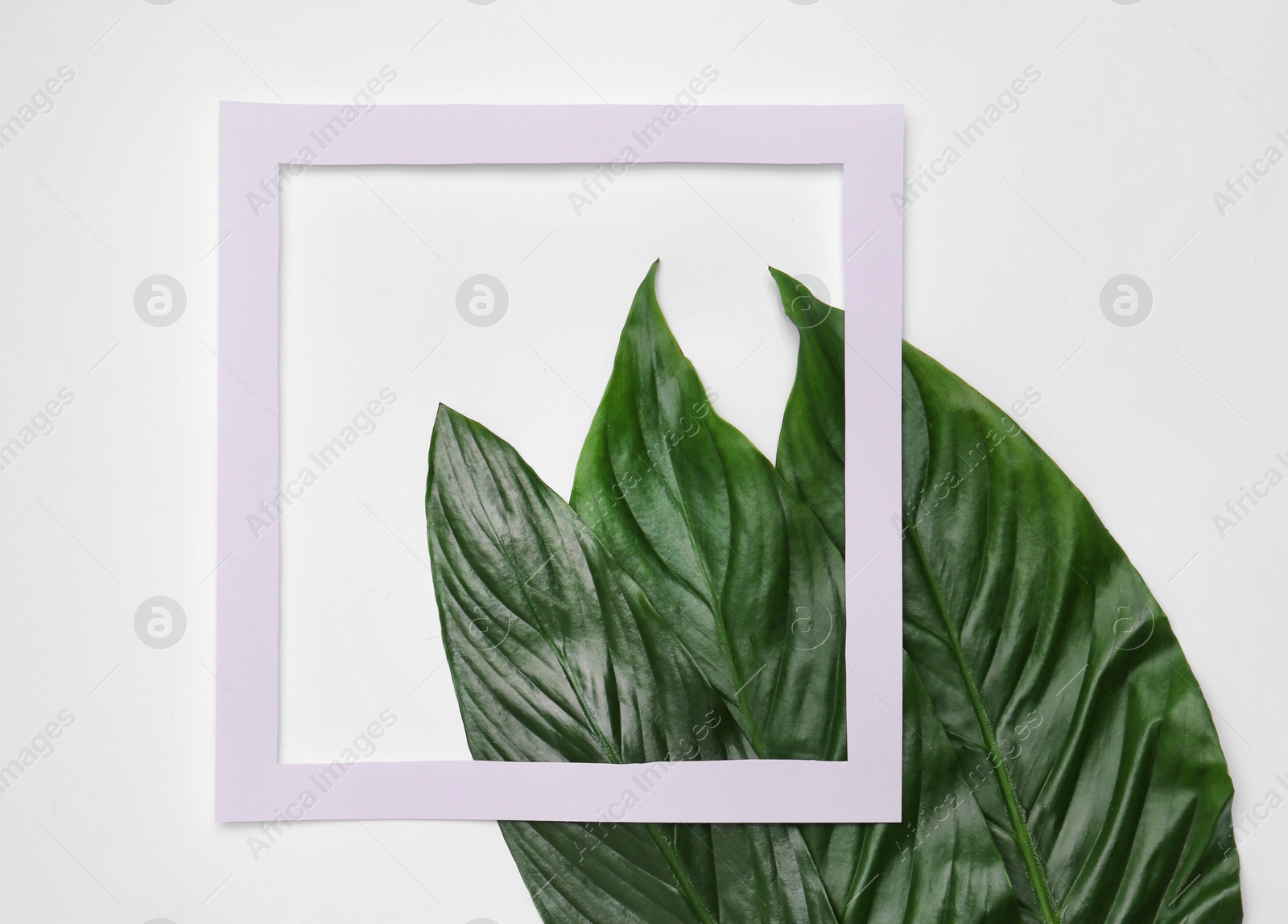 Photo of Beautiful composition with tropical leaves on light background, top view