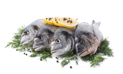 Photo of Raw dorado fish, dill, lemon slices and peppercorns isolated on white