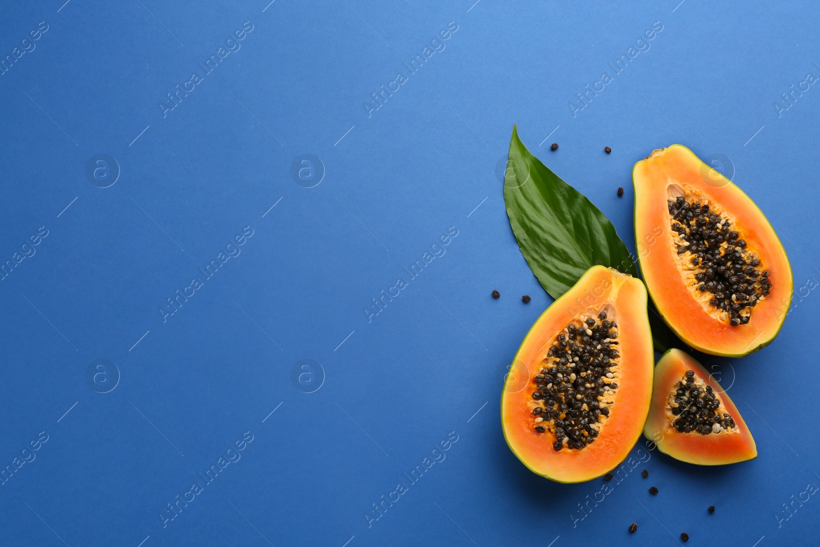 Photo of Fresh ripe papaya fruits with green leaf on blue background, flat lay. Space for text