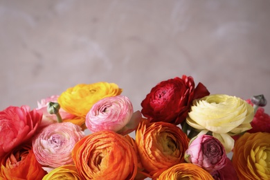 Photo of Beautiful fresh ranunculus flowers on color background, closeup. Space for text