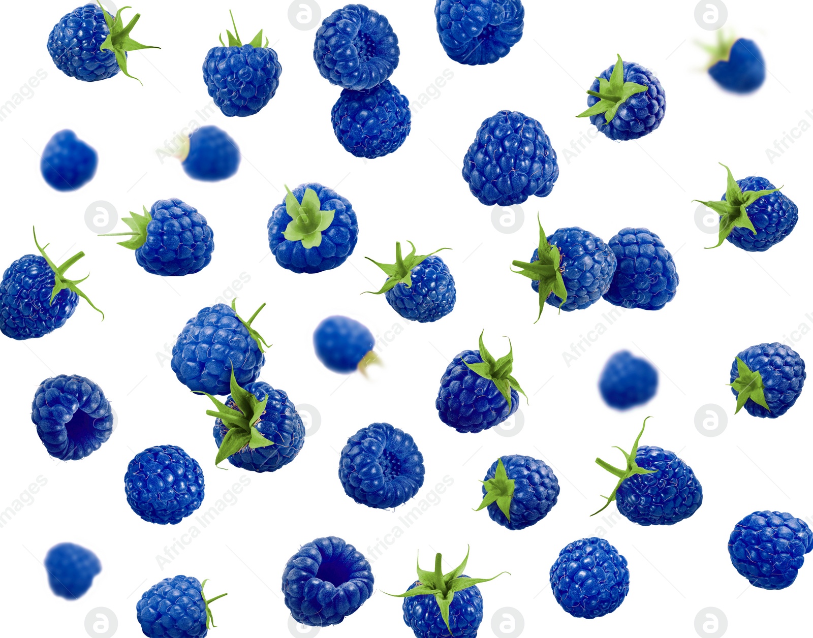 Image of Many fresh blue raspberries falling on white background