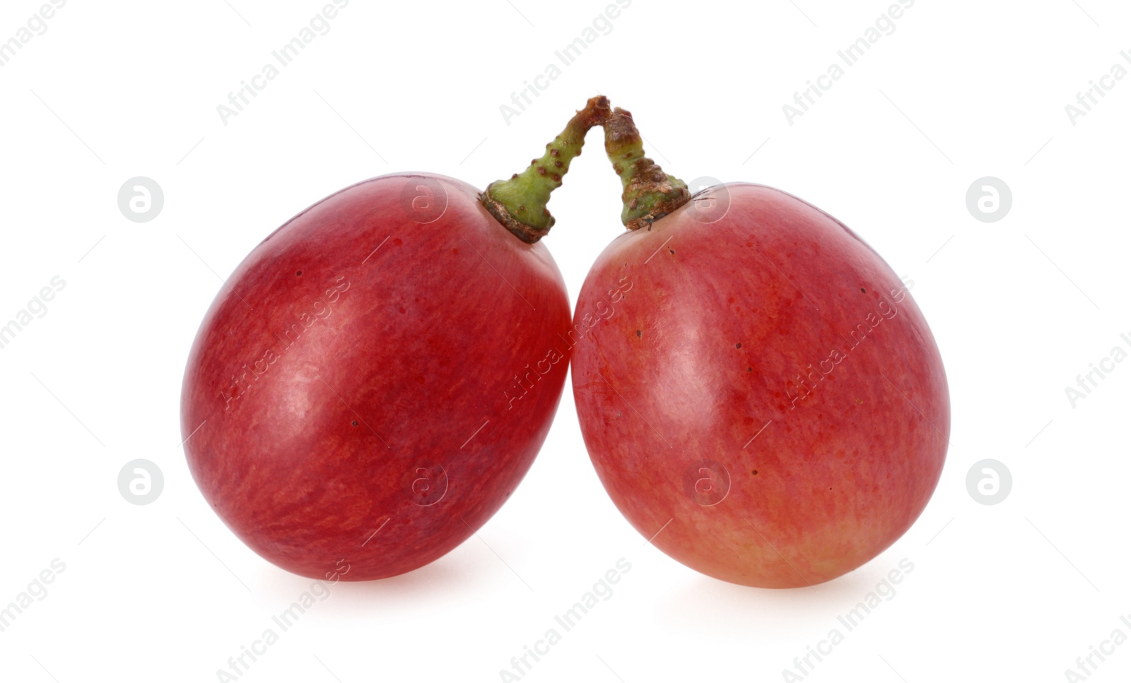 Photo of Two ripe red grapes isolated on white