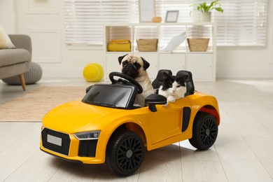 Photo of Adorable pug dog and cat in toy car indoors