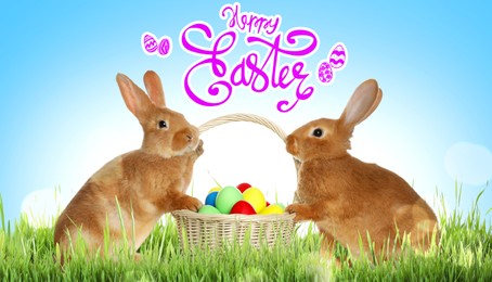 Image of Happy Easter. Adorable bunnies near wicker basket with dyed eggs on green grass outdoors