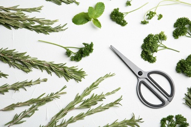 Flat lay composition with rosemary on light background. Aromatic herbs