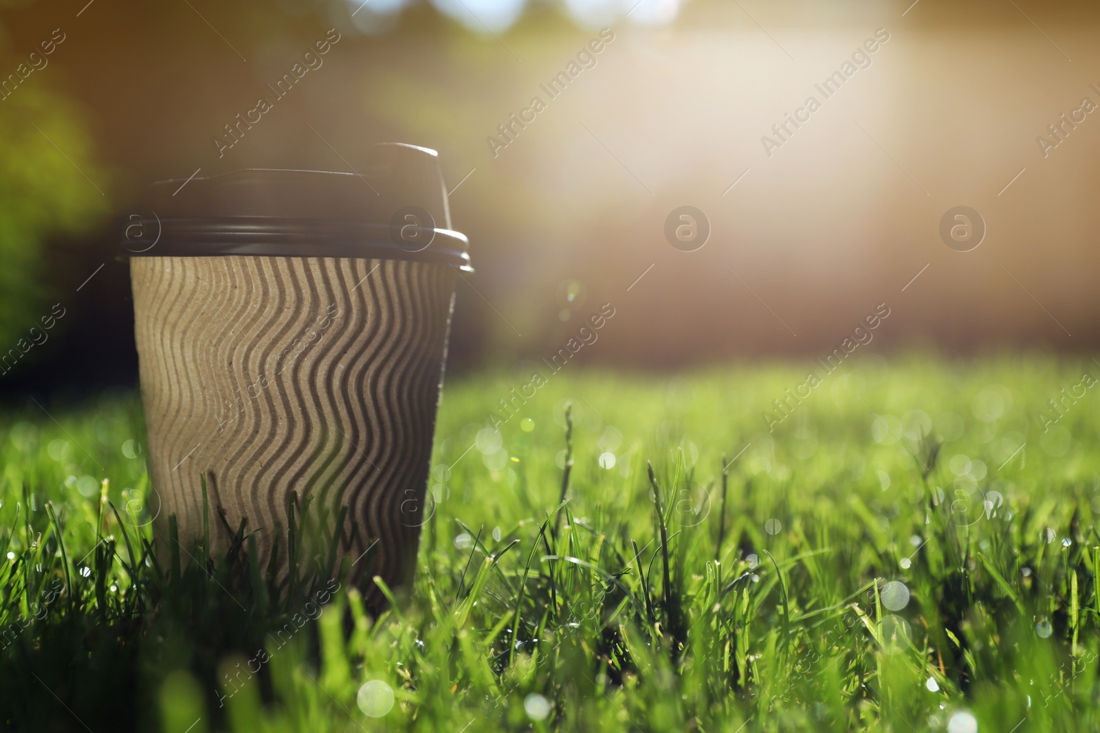 Photo of Cardboard takeaway coffee cup with plastic lid on green grass outdoors, space for text