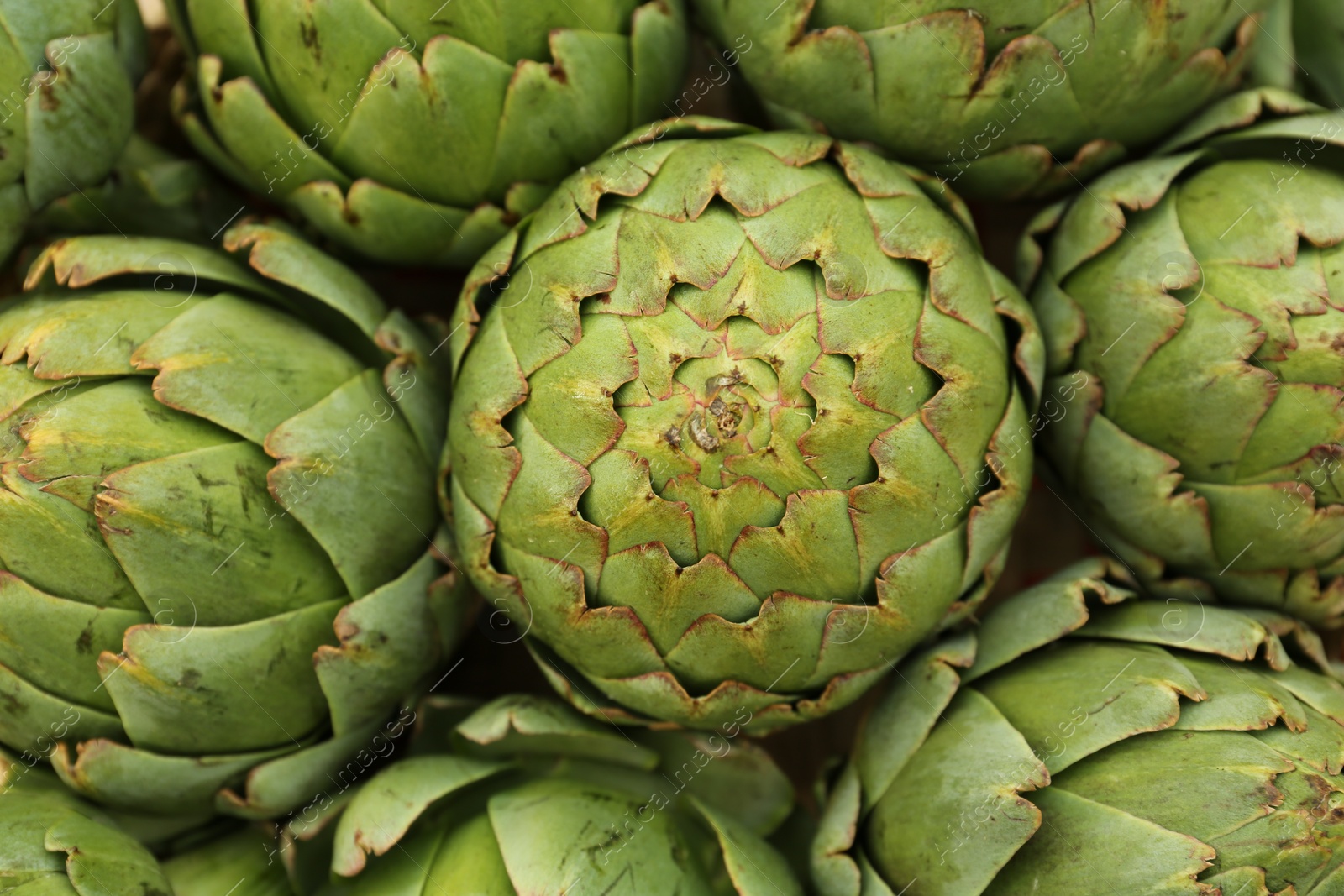 Photo of Many fresh raw artichokes as background, top view