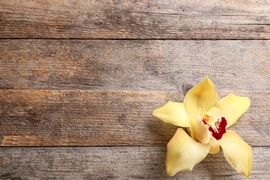 Photo of Beautiful tropical orchid flower on wooden background, top view. Space for text