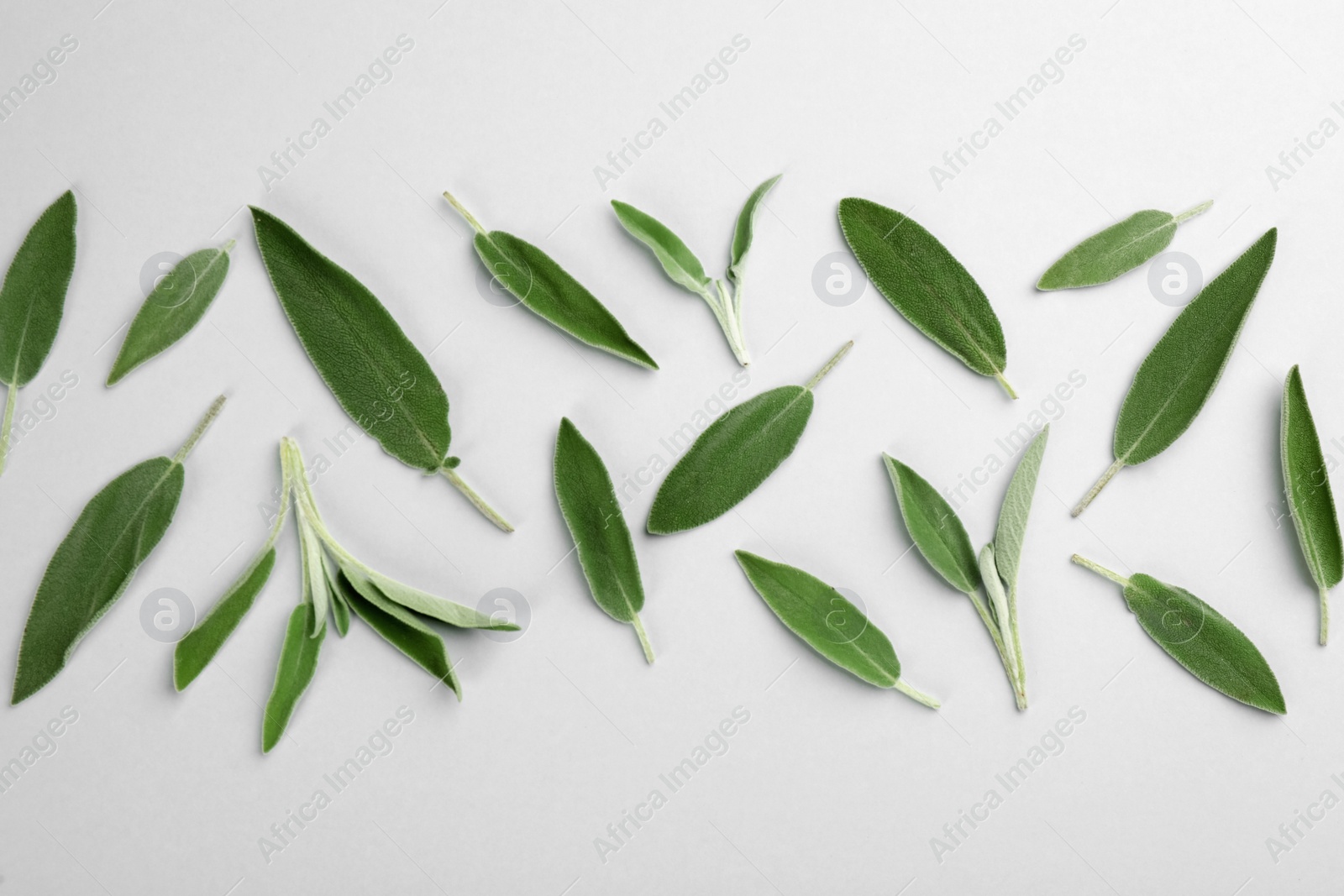 Photo of Fresh green sage leaves on light background, flat lay
