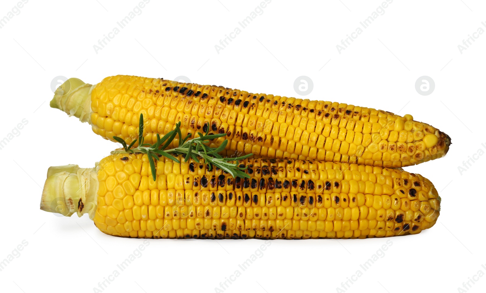 Photo of Tasty grilled corn and rosemary on white background