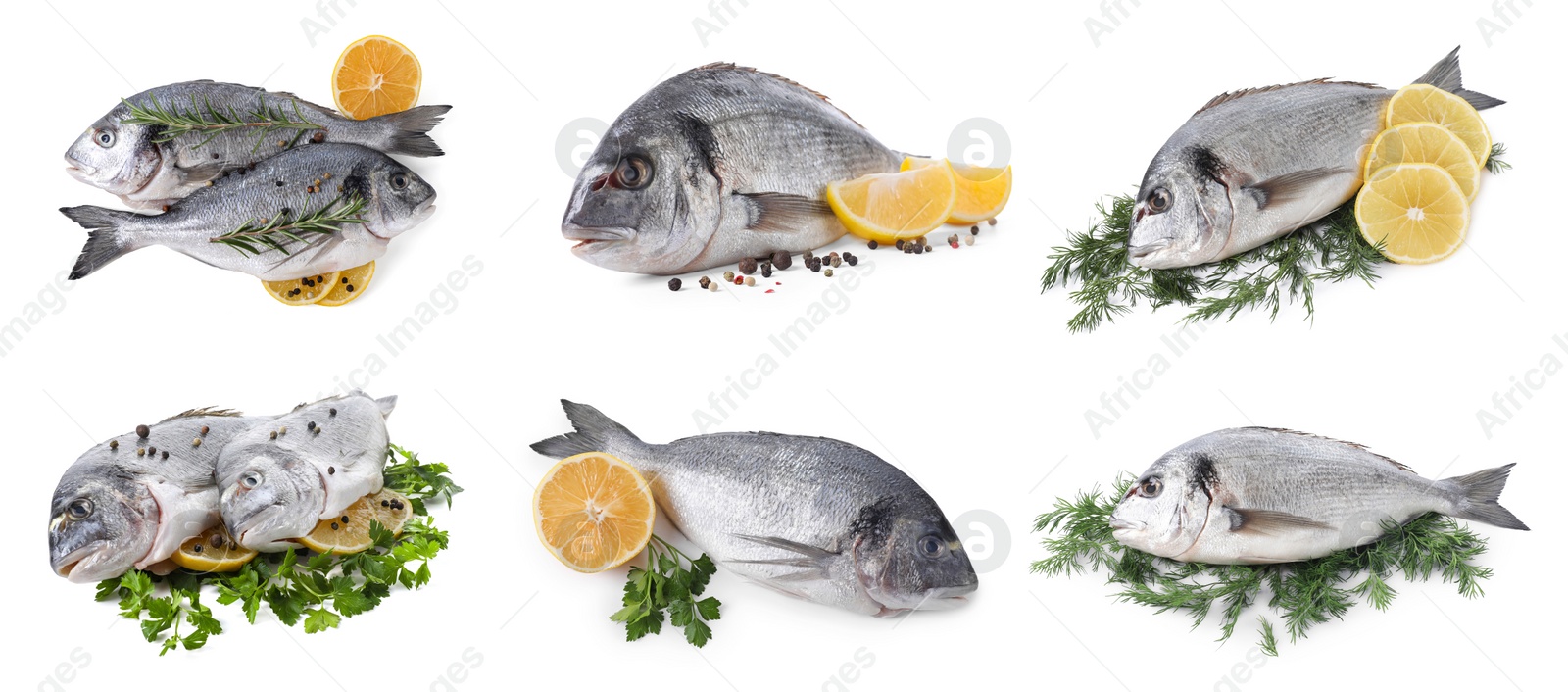 Image of Raw dorada fish, lemon and herbs isolated on white, set