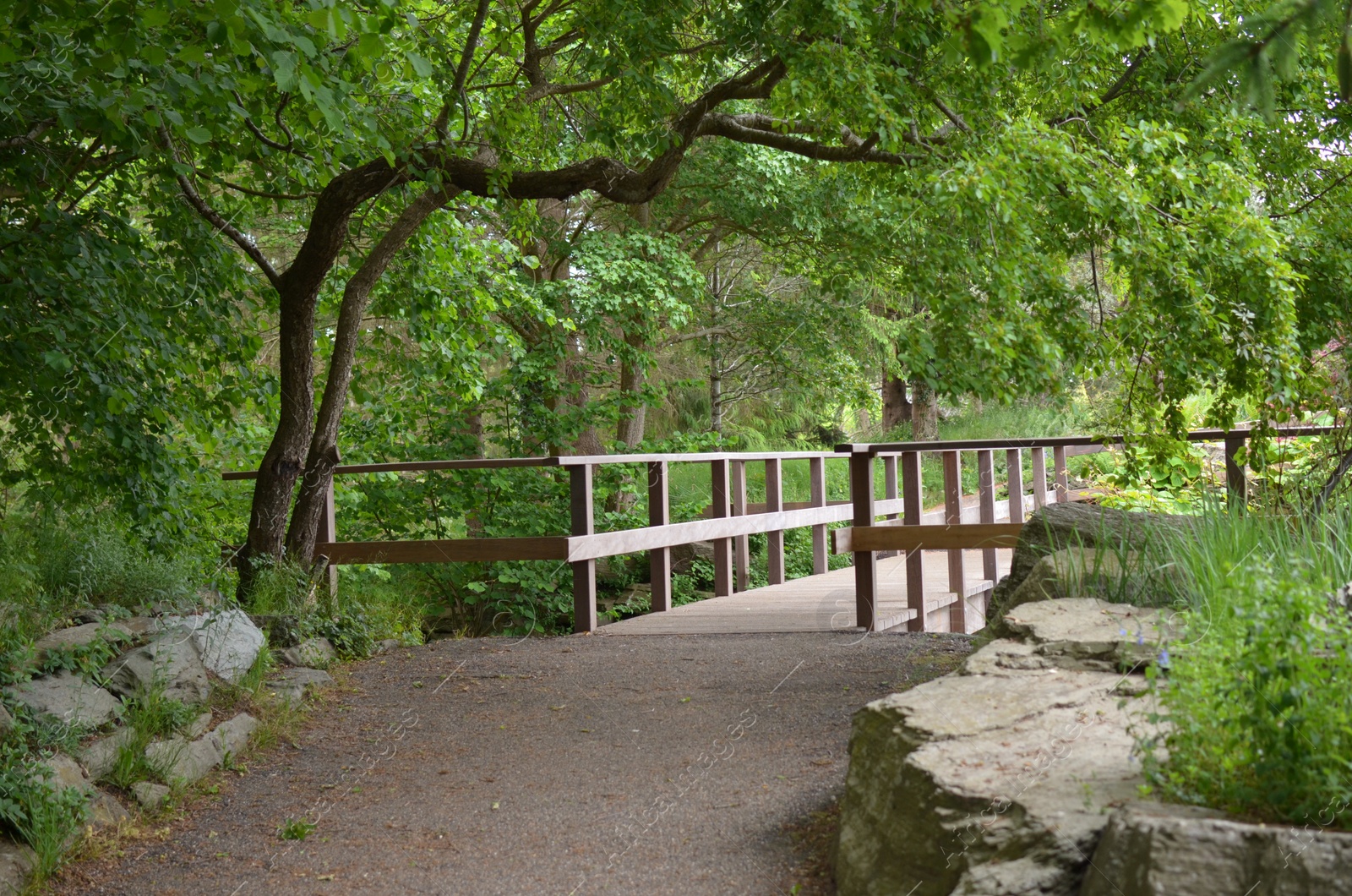 Photo of Beautiful view of asphalt path to wooden bridge and green trees in park