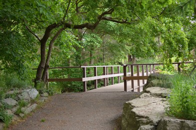 Beautiful view of asphalt path to wooden bridge and green trees in park