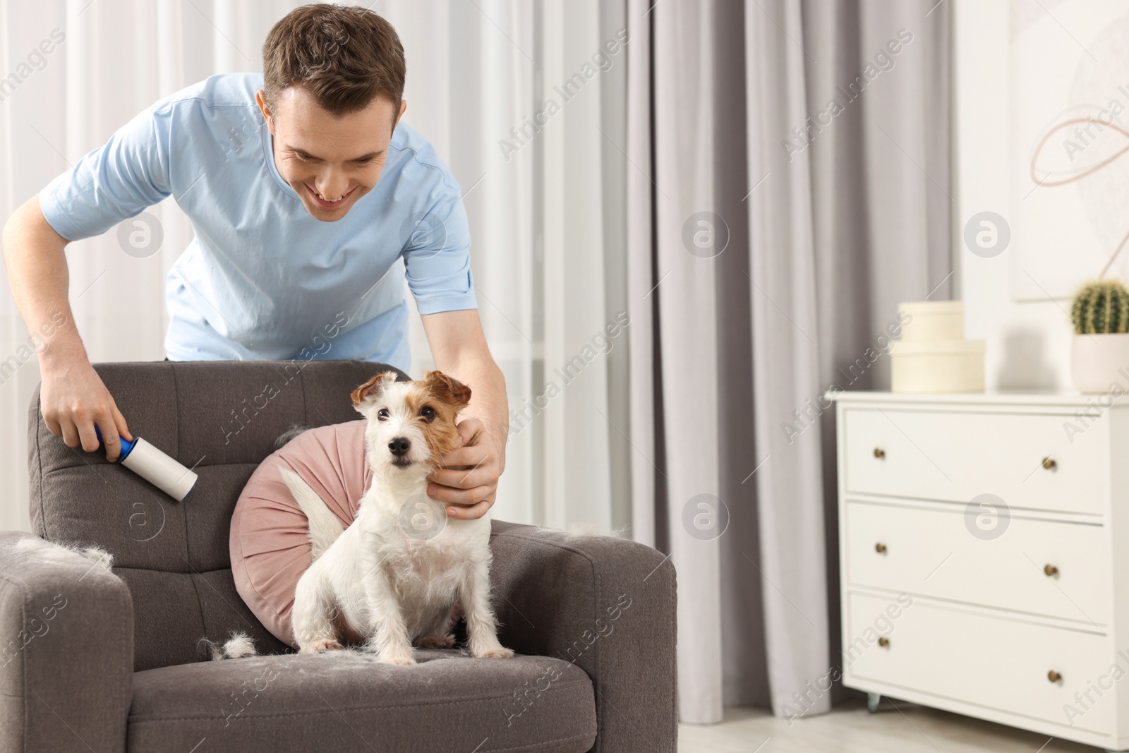 Photo of Smiling man removing pet's hair from armchair at home. Space for text