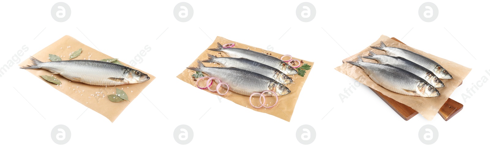 Image of Set with tasty salted herrings on white background. Banner design