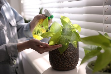 Woman spraying beautiful potted plant on window sill, closeup. Floral house decor