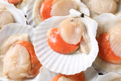 Fresh raw scallops with shells as background, top view